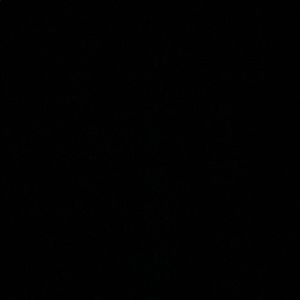 Meet your Posher, Conner